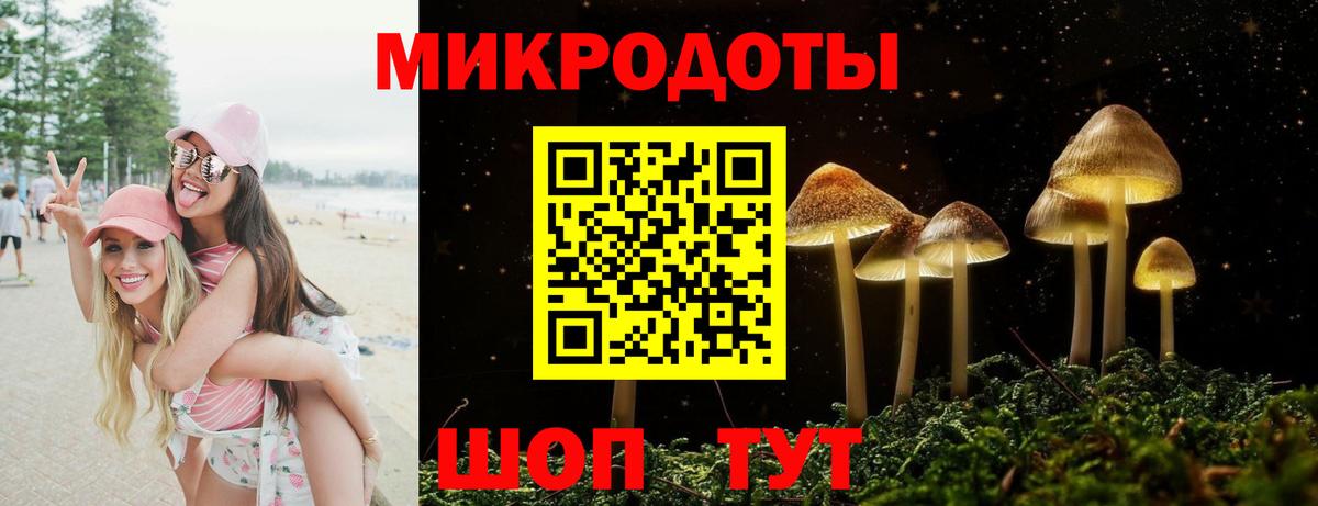 Галлюциногенные грибы прущие грибы  Вход с VPN  Холмск  Псилоцибиновые грибы Psilocybe 